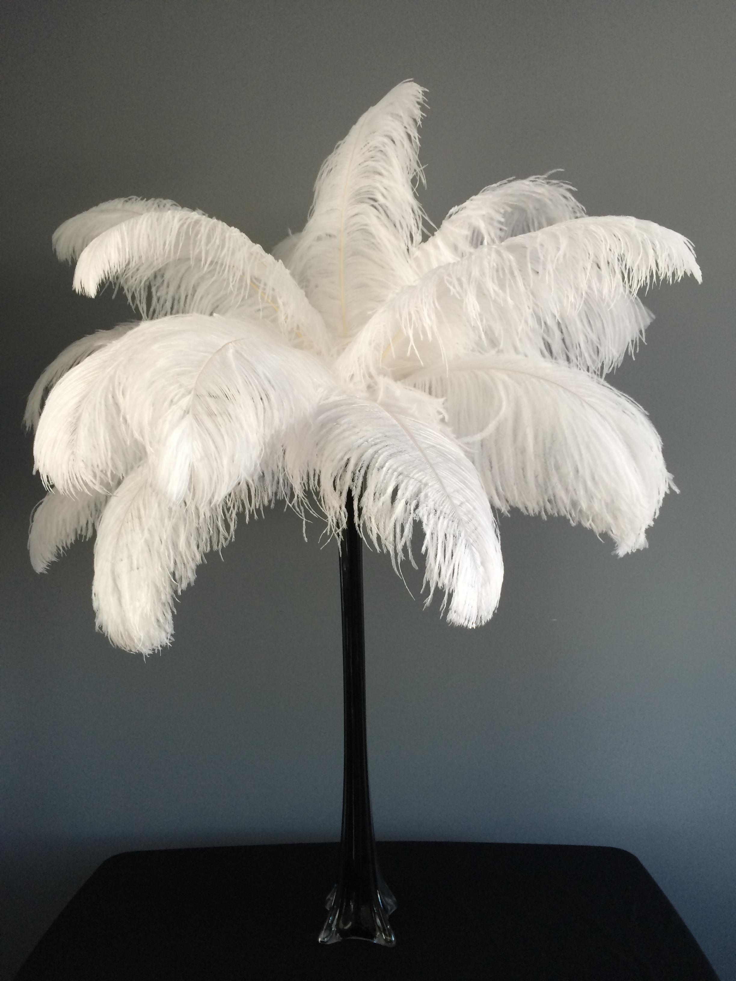 Plumage-eiffwl-Blanc.JPG